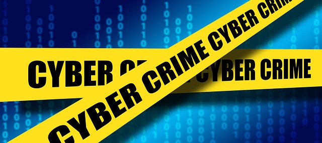 cyper crime